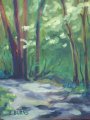 Dappled Way
